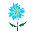 Flat blue cornflower or any other flower